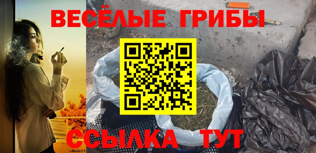 Псилоцибиновые грибы Cubensis  Псилоцибиновые грибы Psilocybine cubensis  Вход с VPN  Миллерово 